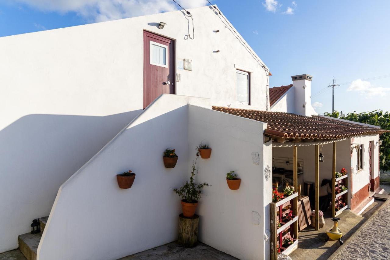 Avo Rosa Guesthouse Sao Joao da Ribeira ภายนอก รูปภาพ