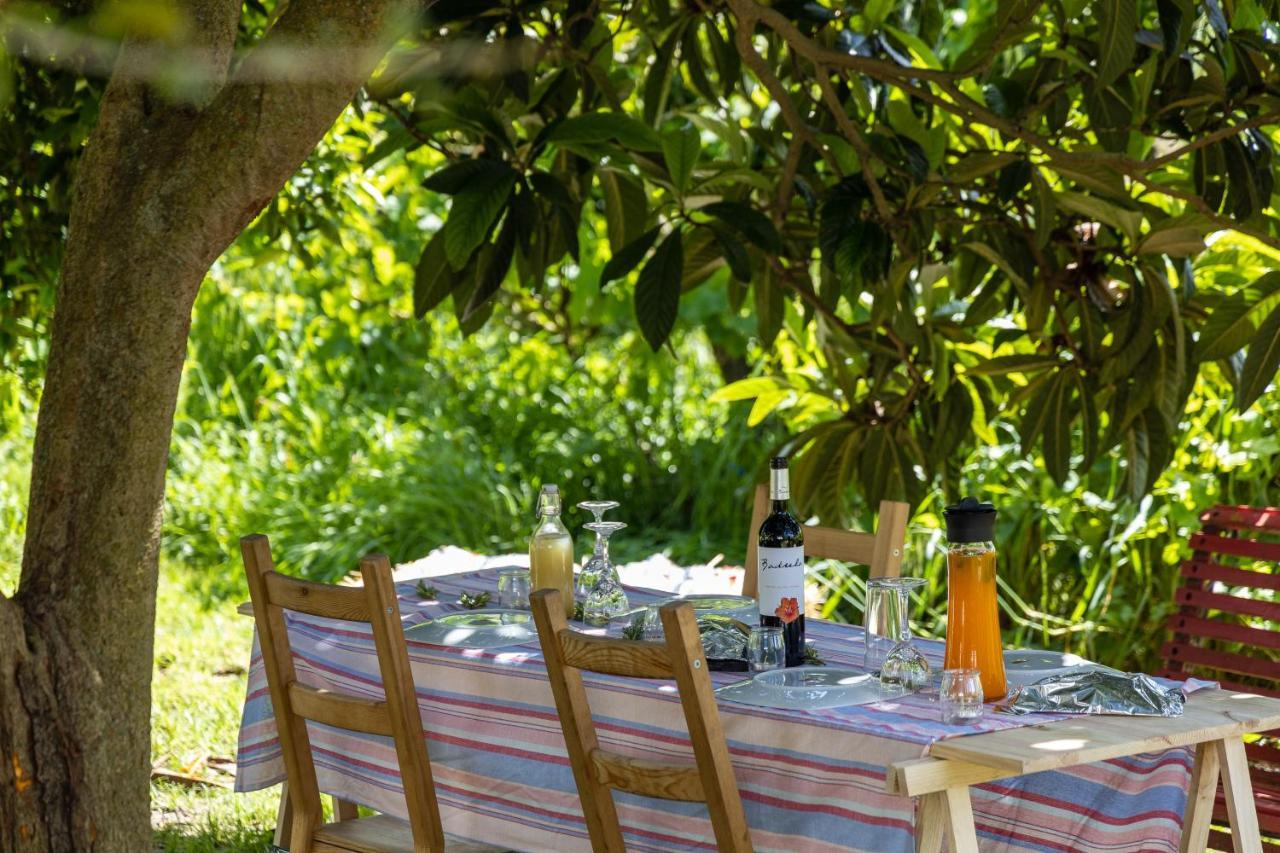 Avo Rosa Guesthouse Sao Joao da Ribeira ภายนอก รูปภาพ